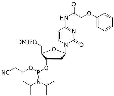 DNA C(pac) amidite - WuXi TIDES