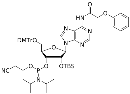 2'-OTBS A(pac) amidite - WuXi TIDES