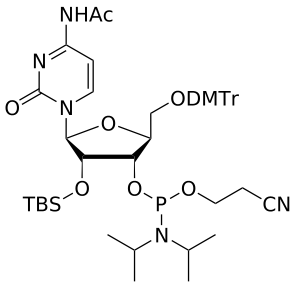 L-RNA 2'-OTBS C(Ac) amidite - WuXi TIDES