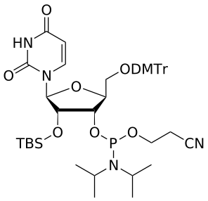 L-RNA 2'-OTBS U amidite - WuXi TIDES