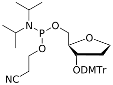 Reverse abasic amidite - WuXi TIDES