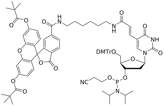 5'-Fluorescein dT amidite - WuXi TIDES