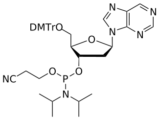 DNA Purine amidite - WuXi TIDES