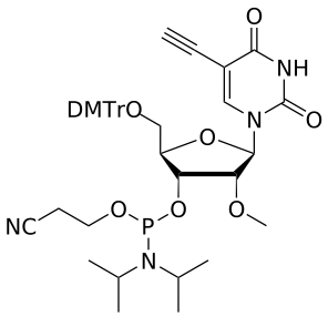 2'-OMe 5-Ethynyl-U amidite - WuXi TIDES
