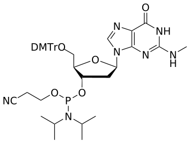 DNA G(Me) amidite - WuXi TIDES