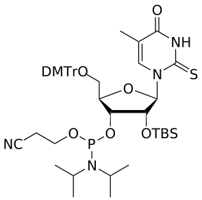 2'-OTBS 2-Thio-T amidite - WuXi TIDES