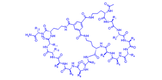 Bicyclic Peptide