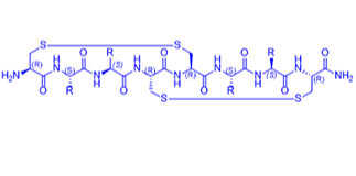 Bicyclo-disulfide bridge