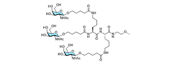 Carbohydrate Conjugate