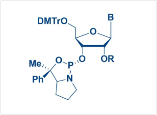 Chiral amidite 原料药