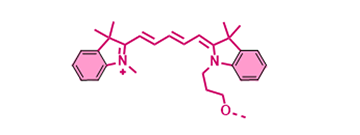 Fluorescent dye Conjugate