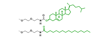 Lipid 986 Conjugate