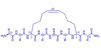 RCM Monocyclic Peptide