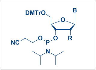 RNAi amidite 单体及配体