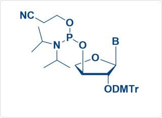 TNA amidite 单体及配体