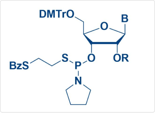 Thio amidite 单体及配体