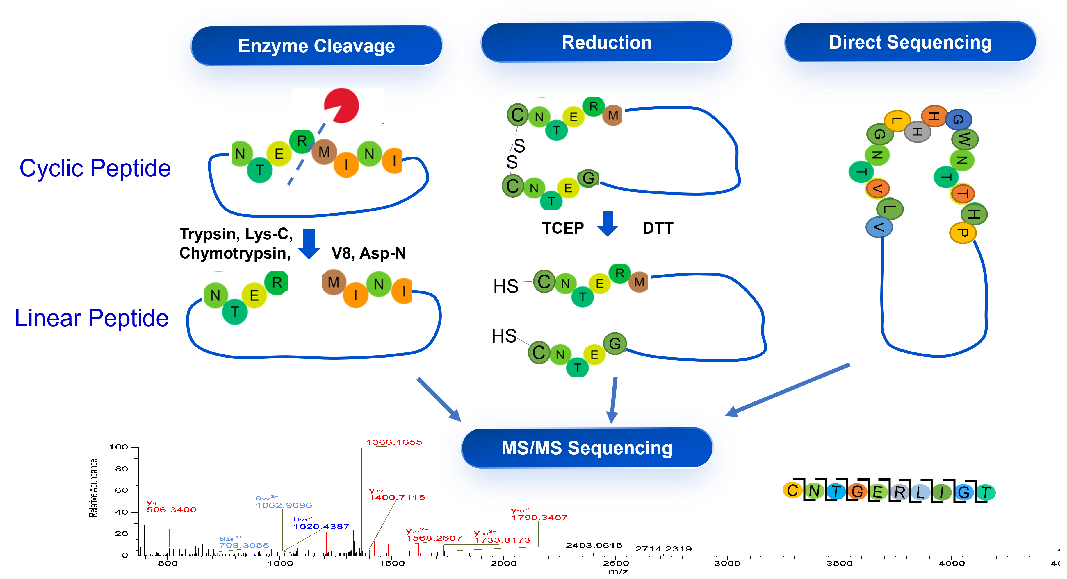 PeptideAnalyticalCaseStudy2 分析