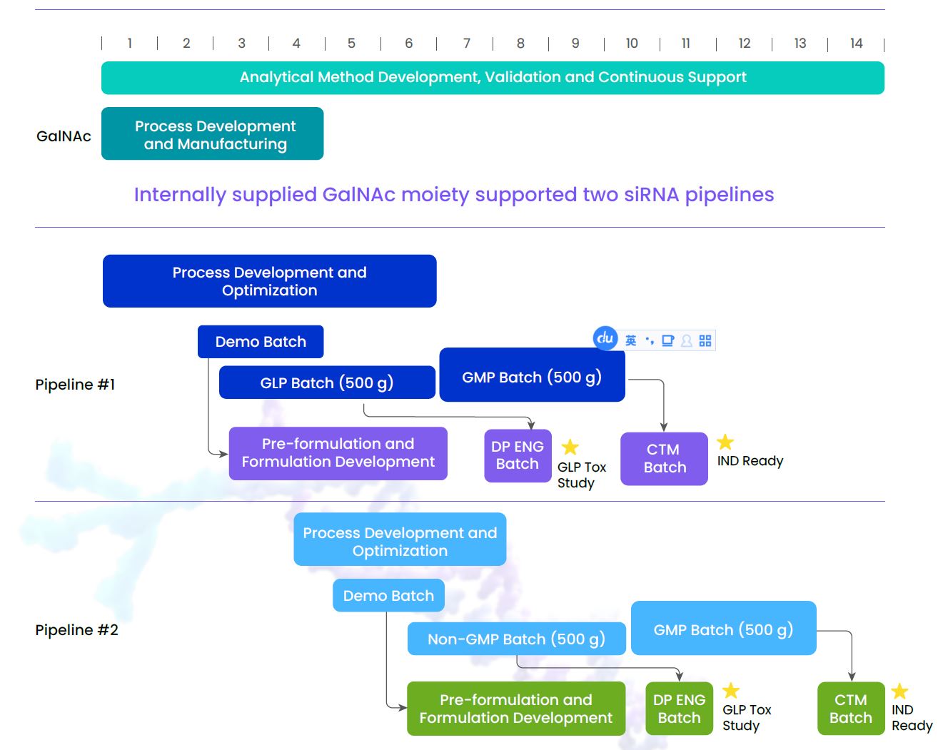 siRNA casestudy timeline2 原料药