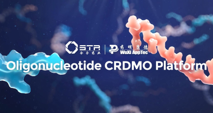 Oligonucleotide CRDMO Chemistry Platform Oligonucleotide