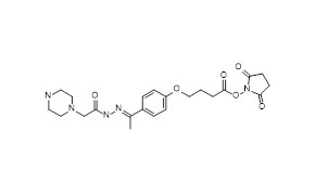 image 340 Conjugate