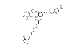 w e2 4 09 Conjugate