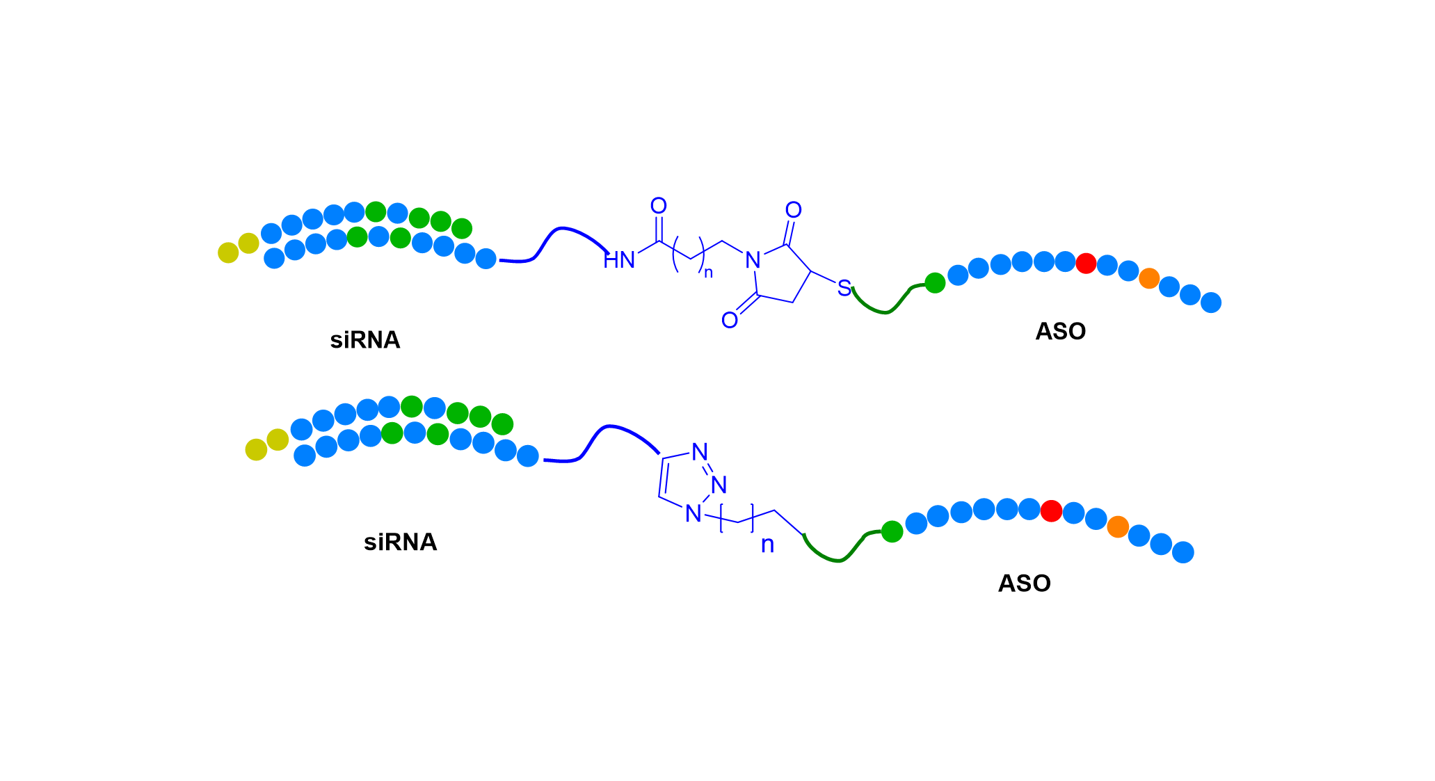 siRNA ASO Conjugate