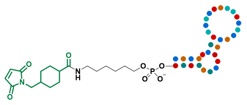 206 PMOs 300 nmol each 2 Oligonucleotide