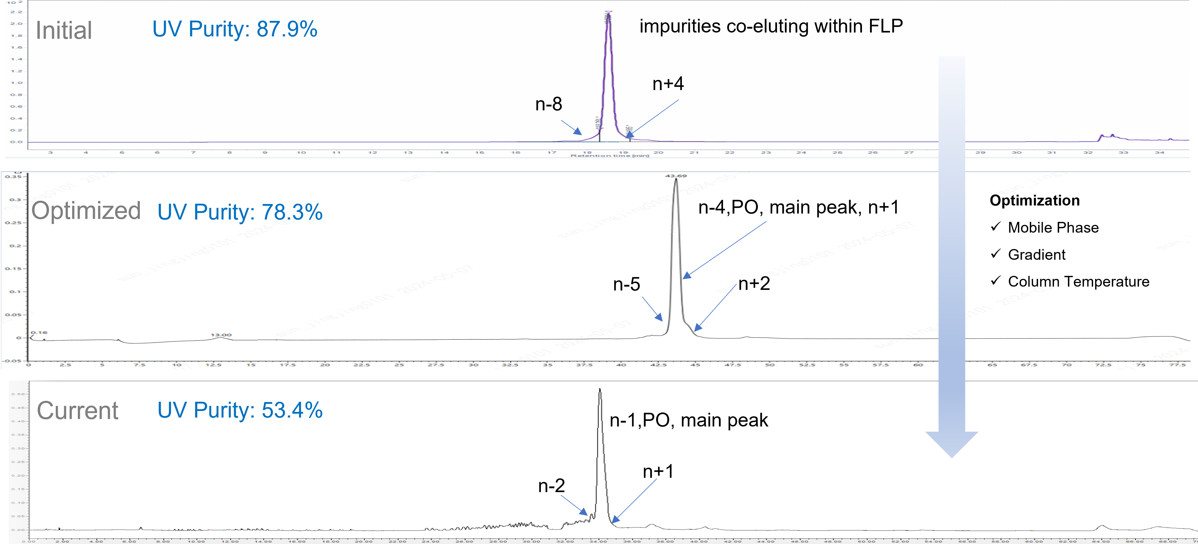 OligoAnalyticalCaseStudy2 Analytical