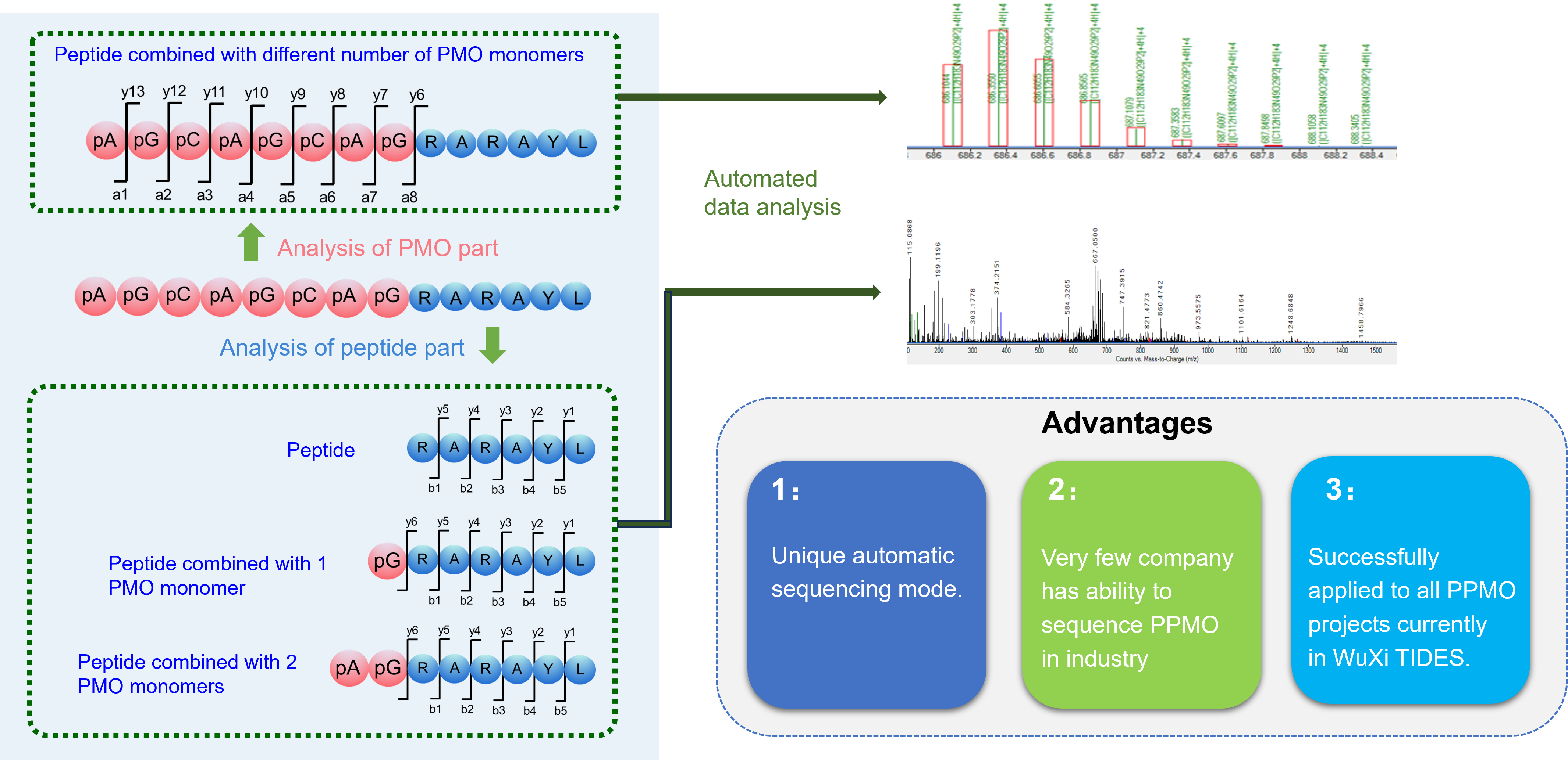 OligoAnalyticalCaseStudy3 Analytical