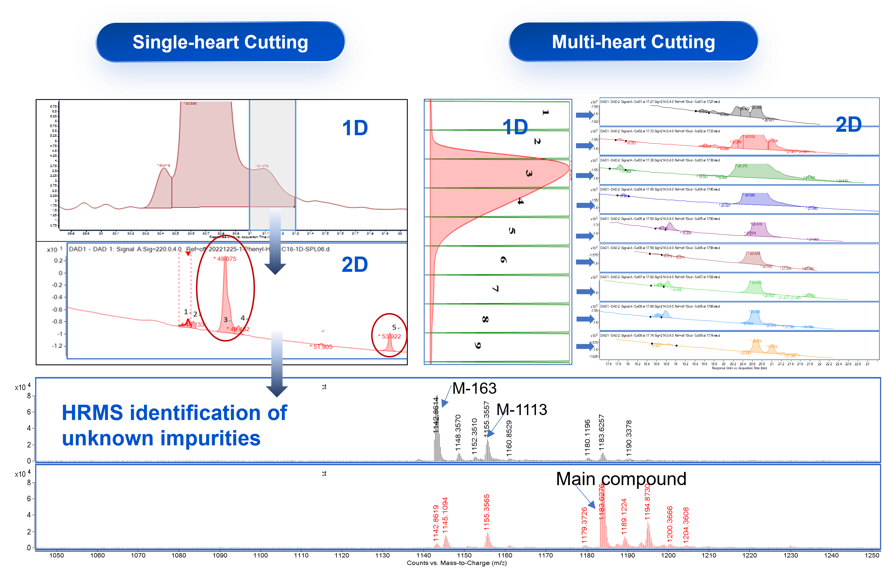 PeptideAnalyticalCaseStudy1 Analytical