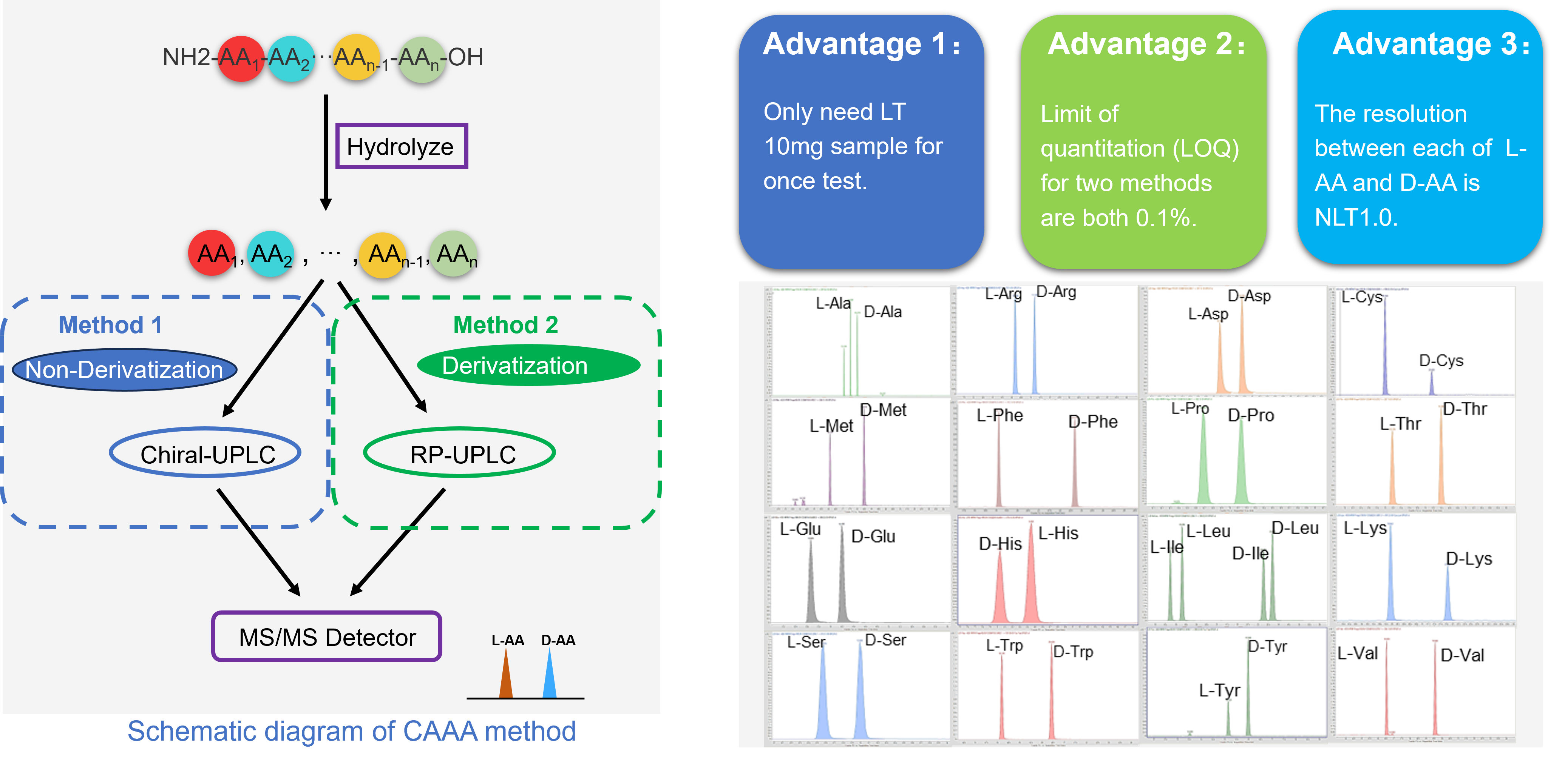 PeptideAnalyticalCaseStudy3 Analytical