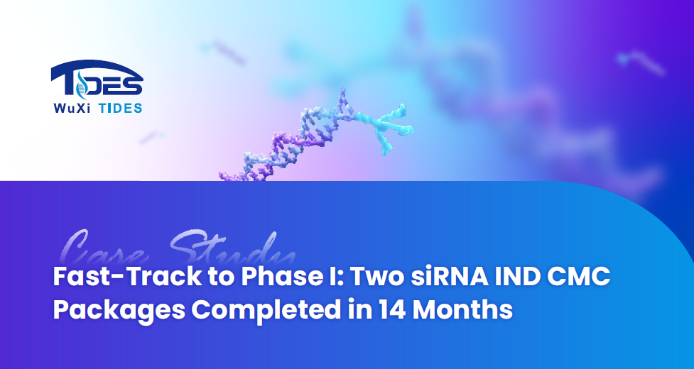 Fast-Track to Phase l: TwO SiRNA IND CMC Packages Completed in 14 Months